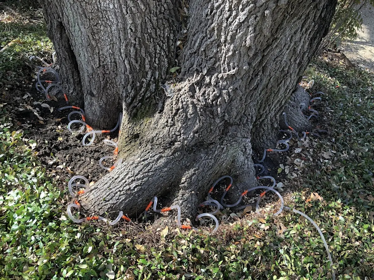 Detailed Shrub and Hedge Trimming job site in Elmore City